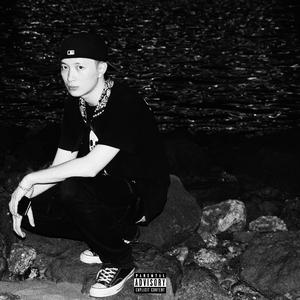 最新在线黄色网址
